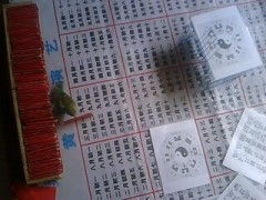 灵鸟签价格是多少？