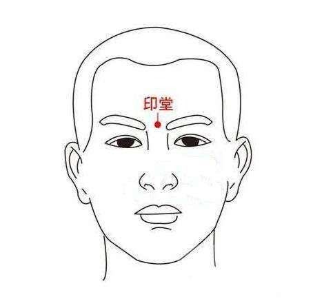 一、  印堂的解剖学定位与学术归属演变