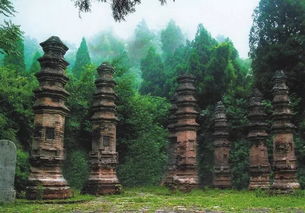 月山寺：免费游？做梦去吧！