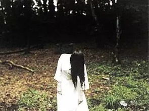 研究背景与目的