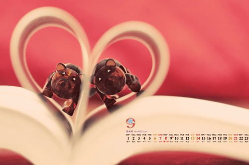 滢字取名凶吉解释和寓意是什么？取名时有哪些忌讳需要注意？