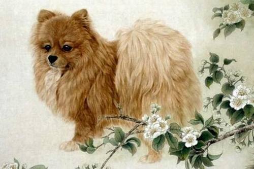 1982年属狗女性在2026年运势如何？