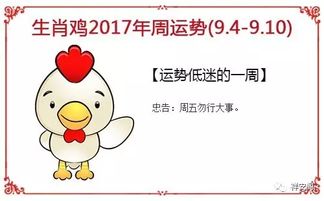 生肖运势指南