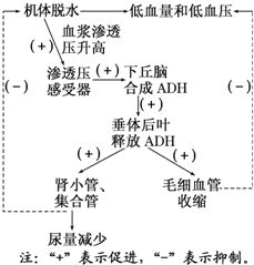 風水的本质：哲学思辨与实践应用