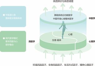 三、 临床医治层面的个体化融合策略