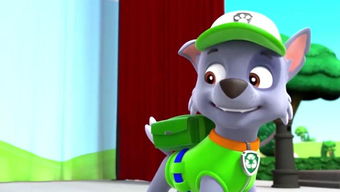 忠诚的小狗汪汪汪