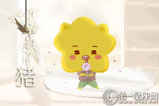 属兔人八月份财运如何，以及属兔人在12月份的财运状况是怎样的？