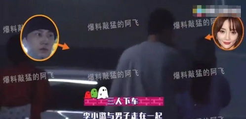 指纹学理论框架