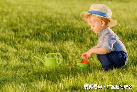 除了吃草， 还得有房子住——宀字头的妙用