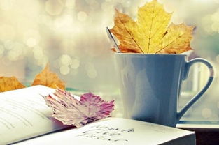 一、  节气更迭与自然律动的契合性分析