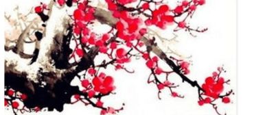 一、  体用关系与健康状况的映射