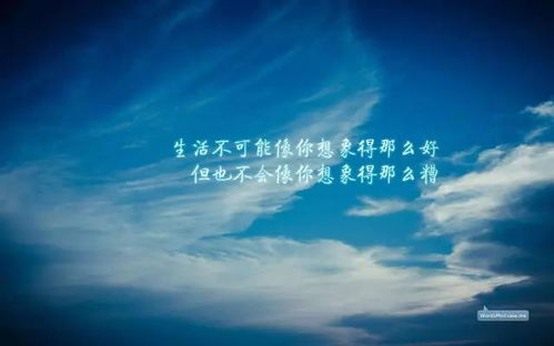 ：数字身份构建中的心理暗示与正向能量场