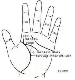 手相花纹和线条呈现网状，这是什么手相特征？