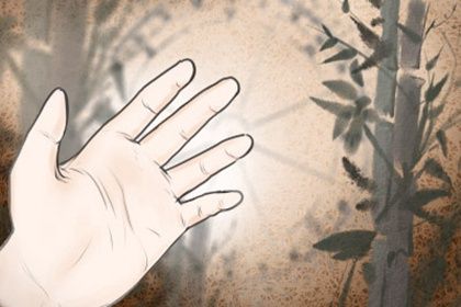 三、 掌纹观测的关键部位及其判读要点