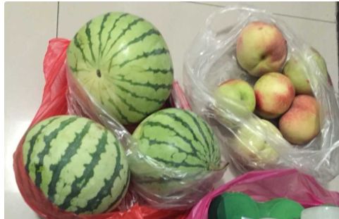 ：惯与西瓜与桃子同食之争议的学术概述