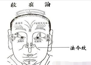 2.1 地阁形态与性格特质