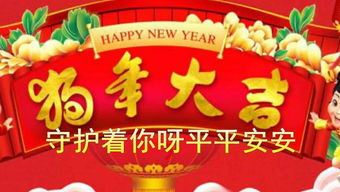 研究背景与目的