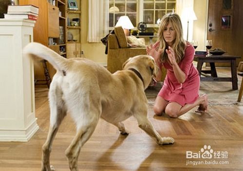 我为什么会梦见自己被狗咬住了这是不是预示着什么不好的事情？