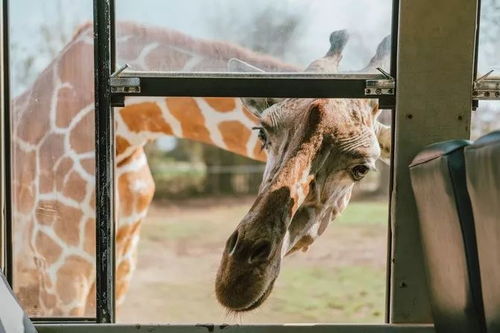 一、 研究背景与目的