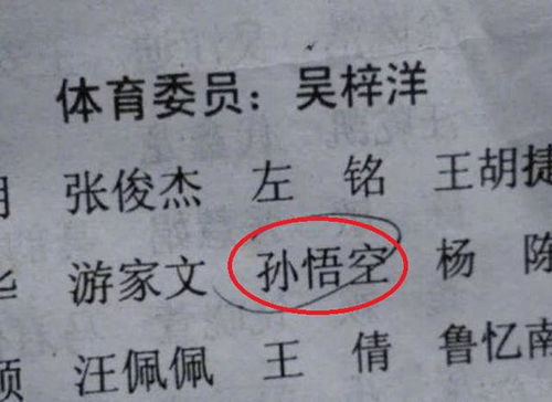 以贞字为韵，涵养之美，怎样为女孩取一个既典雅又富有有内涵的名字呢？