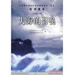 卓越的追求与成功：坚定不移的目标导向