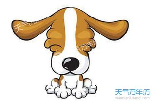 属狗人56岁那年的贵人运势是怎样的？