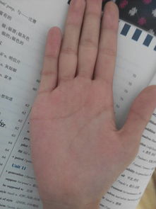 事业运势之预测模型