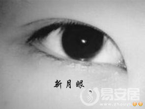 面相特征显著者遭受欺凌之可能性：基于传统相学的系统性分析