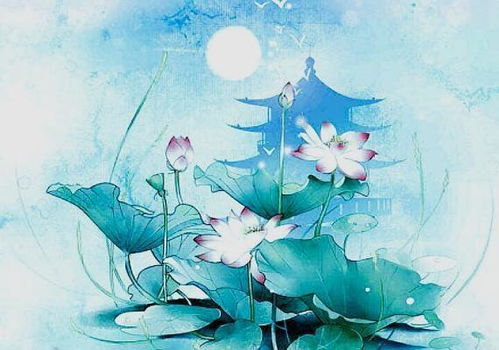 噪音干扰：猫咪和键盘