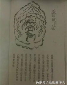 2.2 风水格局解析与周边环境因素作用于