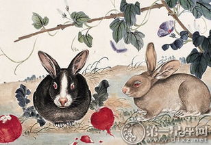 属蛇与属兔的婚姻和事业是否相冲？这背后的原因是什么？