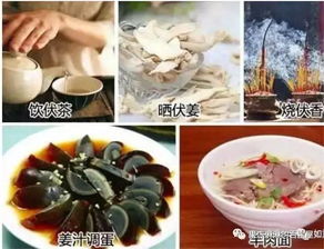 （二） 莆田与台州：姜汁调蛋与汁调蛋的食疗文化