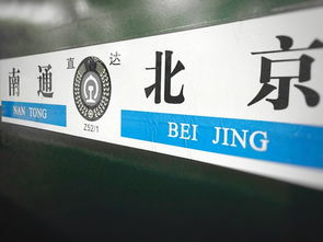 草原风光 —— 名副其实的“一片绿海” （但别指望安静）