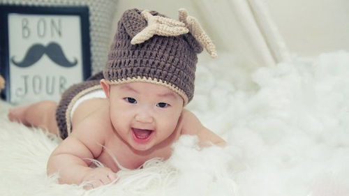 二、 442个（差不多！） 陆姓男孩的名字（疯狂堆砌模式启动！）