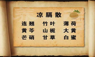 （四）茯苓四逆汤及其配伍特色