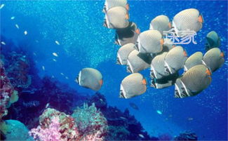 震惊！杭州海底世界居然藏着这些不为人知的秘密！2026年运势大揭秘！