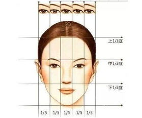 一、 丧偶女性群体面相变动的概念框架
