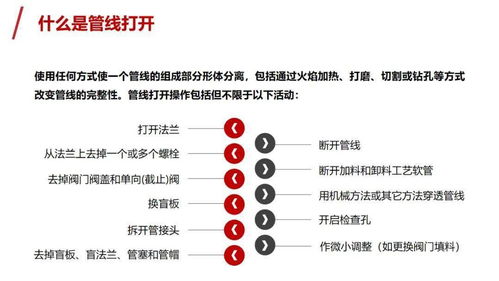 高危生肖详析