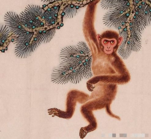 1968年属猴女性在2026年的运势如何？