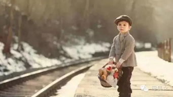 智秋 —— 足智多谋