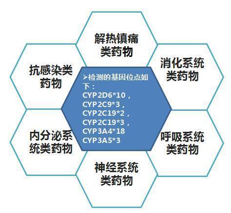 2.3 金融会计行业：严谨细致与数据分析