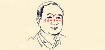 二、 其他与男性富贵相关的面相特征