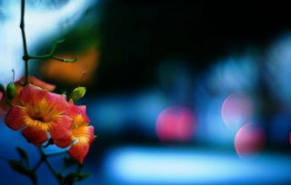 3月份适合出行的黄道吉日是哪一天？求推荐3月出行最佳的吉日是哪天？