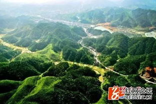 临川：武夷来气的气场汇聚