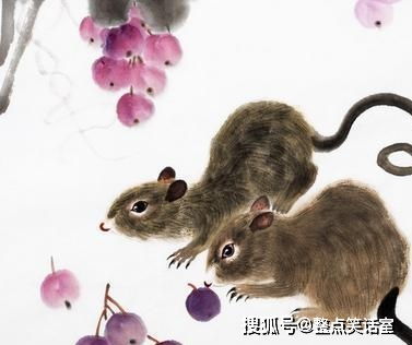 2026年2月属鼠人开业吉日具体是哪几天？