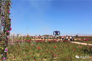 园区环境：照骗与现实的差距——大写狂热嘲讽版！！！！！