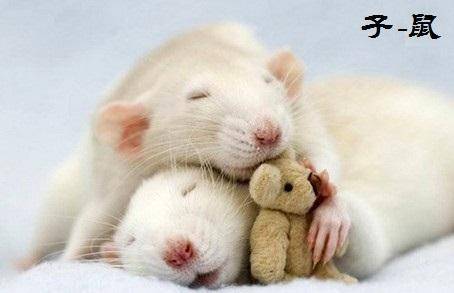 2026年属鼠本命年送什么礼物或饰品最合适？