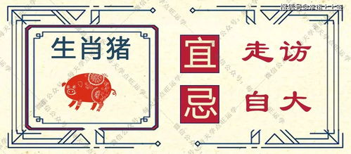 1967年属羊人的五行属兔运势具体如何解释？