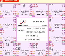 行业特定适配日期的细化建议