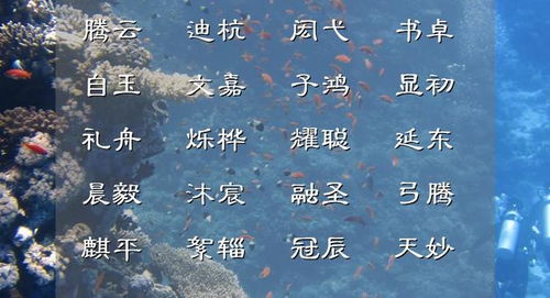 2.1 现代流行语中的“逸”——逃离现实还是追求自由？